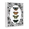 Stupell Industries Floral Border Butterfly Lineup Framed Giclee, design by Dan Meneely